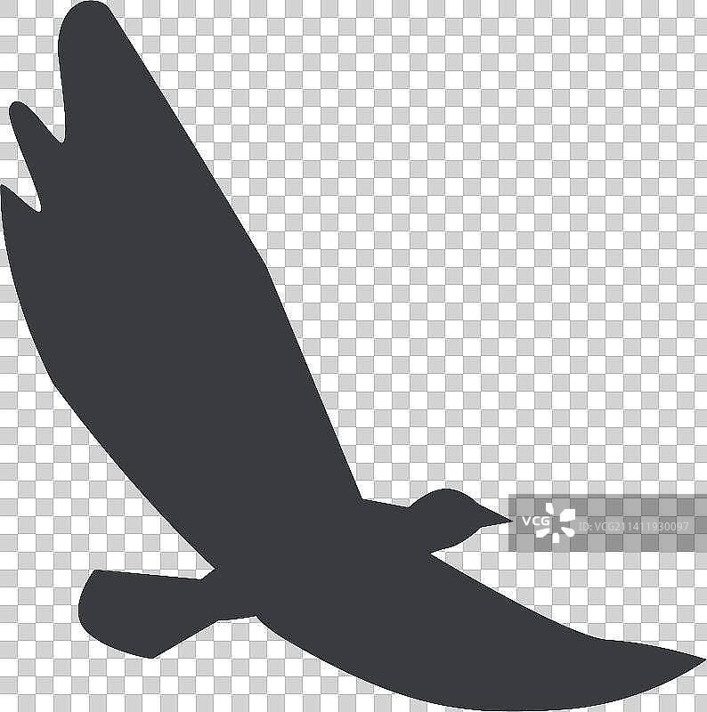 Flying Eagle Silhouette图片素材