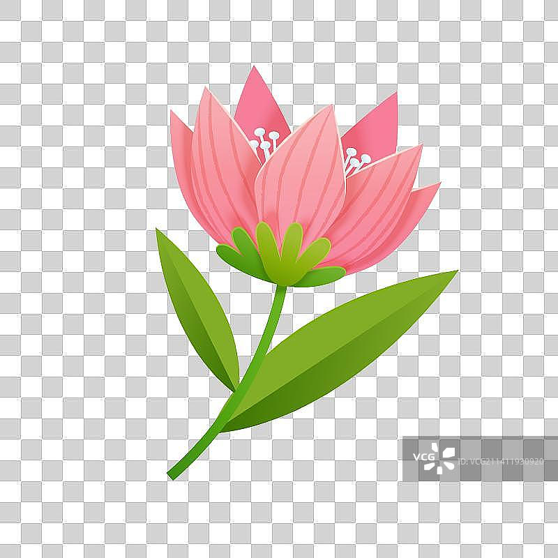 纸艺单粉色花朵图片素材