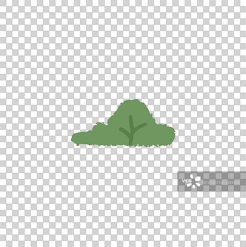 Small Green Bush图片素材