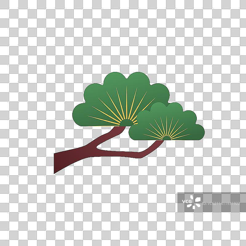 Japanese Pine Tree Branch图片素材
