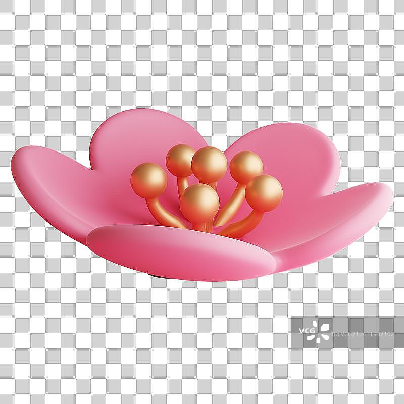 3D Pink Blossom Flower图片素材