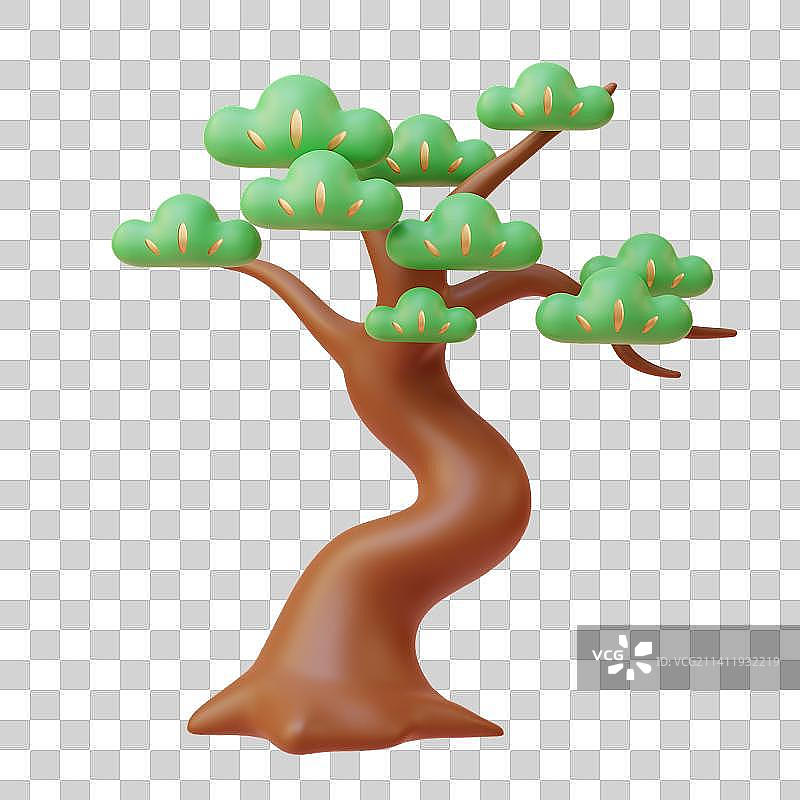 3D Japanese Pine Tree图片素材