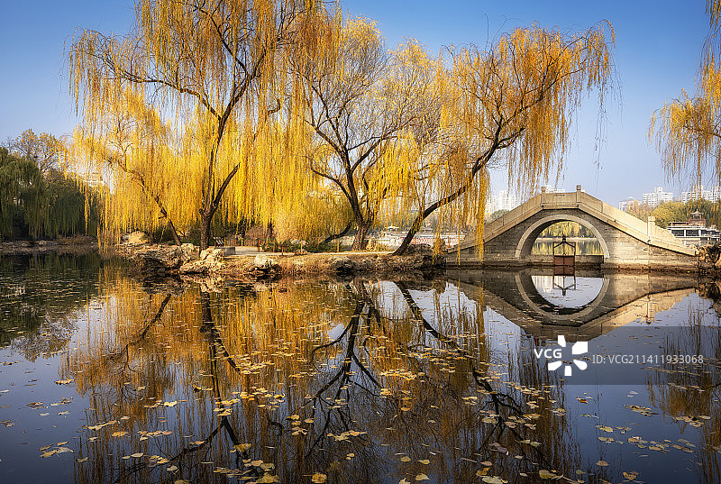 北京紫竹院公园秋景图片素材