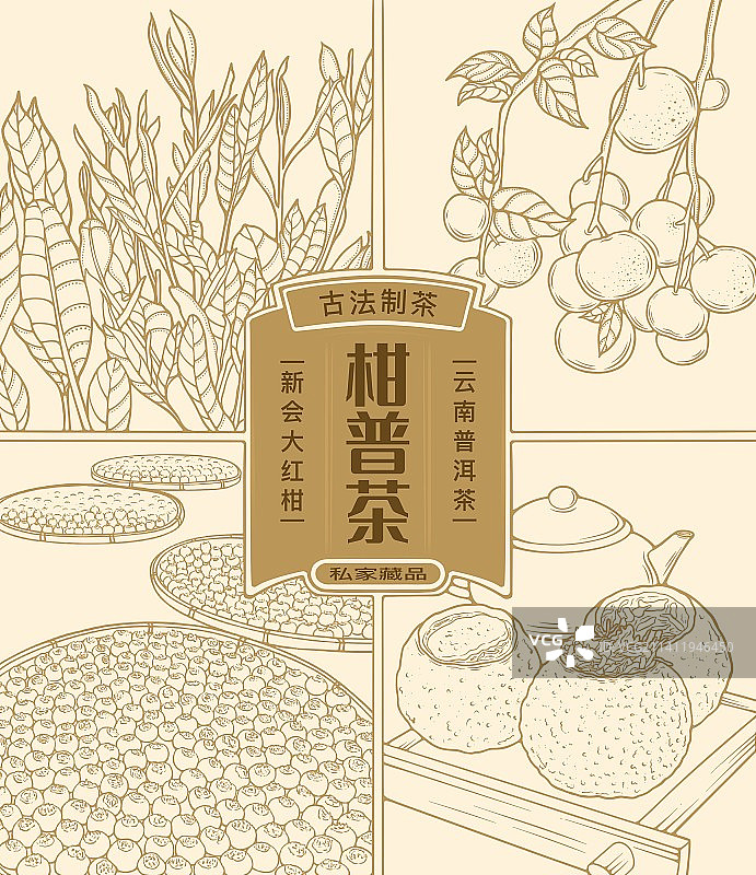 茶叶包装插画设计图片素材