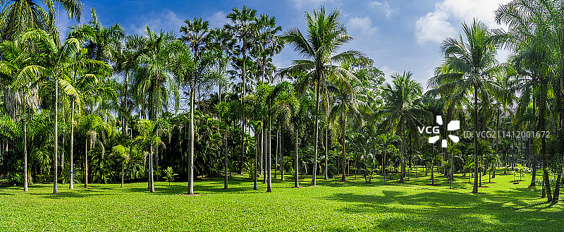 中国科学院西双版纳热带植物园图片素材
