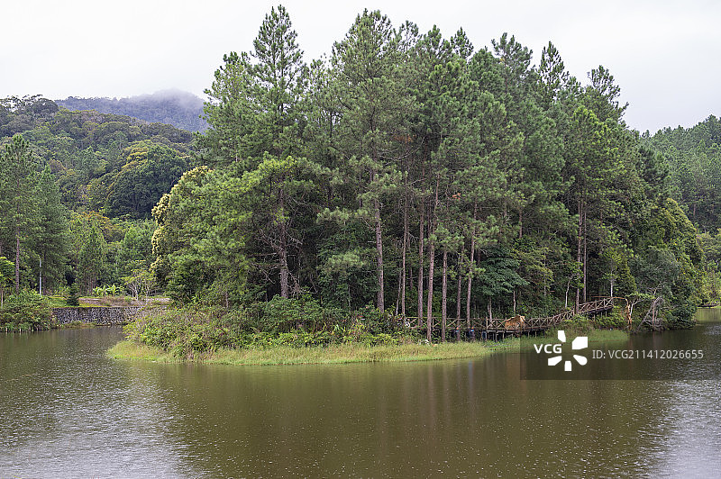 海南，乐东，东方，尖峰岭天池。图片素材
