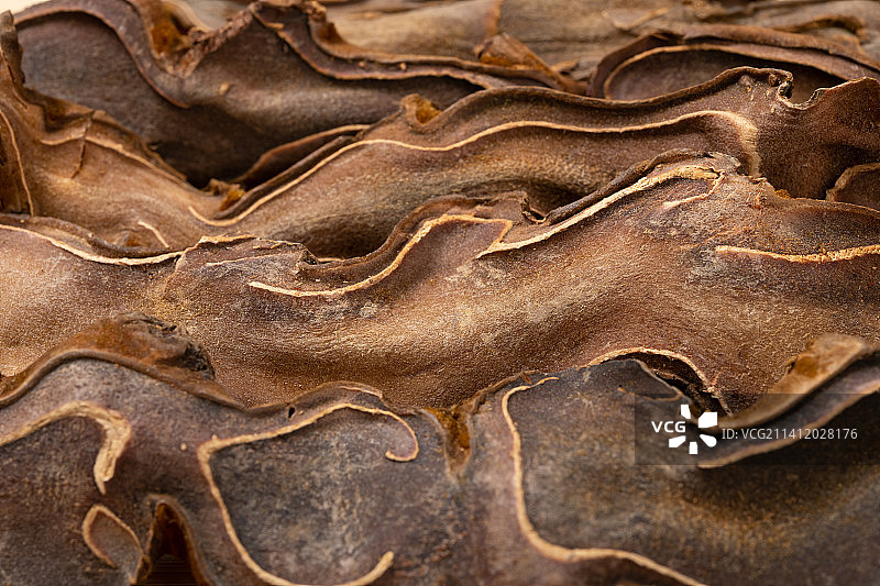 中药狗脊特写图片素材