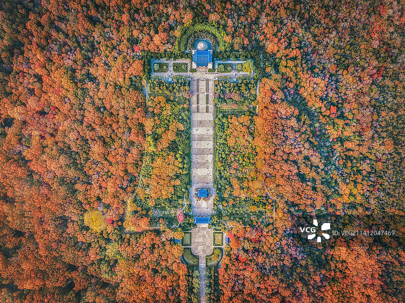 金陵秋色之中山陵秋景风光图片素材