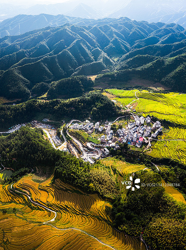 秋天 清远欧家梯田 金黄稻田 村落 航拍图片素材