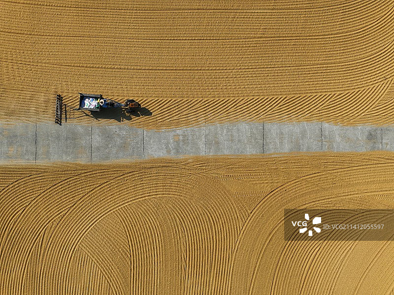 晾晒丰收的稻谷场地水泥地面图片素材