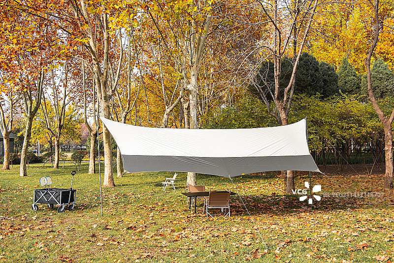 城市公园秋天树林中的露营和天幕图片素材