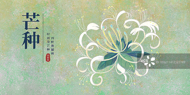二十四节气芒种海报肌理岩彩风格植物系列金银花图片素材