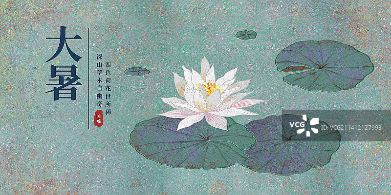 二十四节气大暑海报肌理岩彩风格植物系列睡莲图片素材