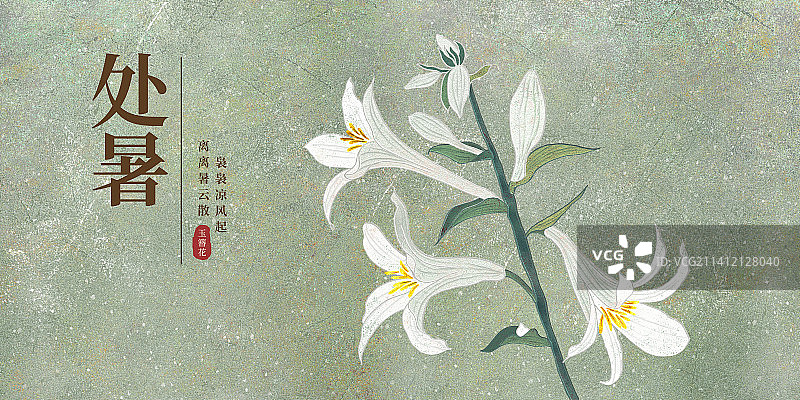 二十四节气处暑海报肌理岩彩风格植物系列玉簪花图片素材