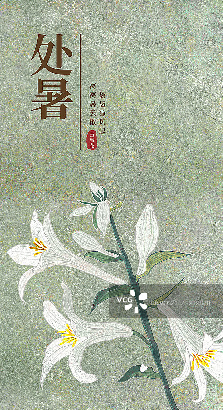 二十四节气处暑海报肌理岩彩风格植物系列玉簪花图片素材