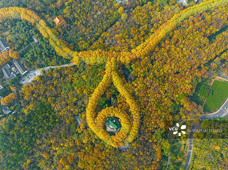 深秋的钟山风景区在空中俯瞰，美玲宫的绿色屋顶，就像是镶嵌在金色项链中的绿宝石。图片素材