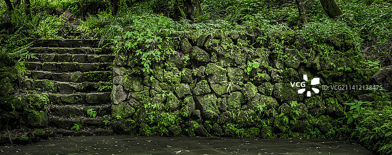 树林里的石墙图片素材