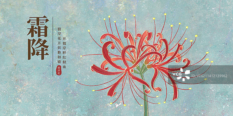 二十四节气霜降海报肌理岩彩风格植物系列彼岸花图片素材