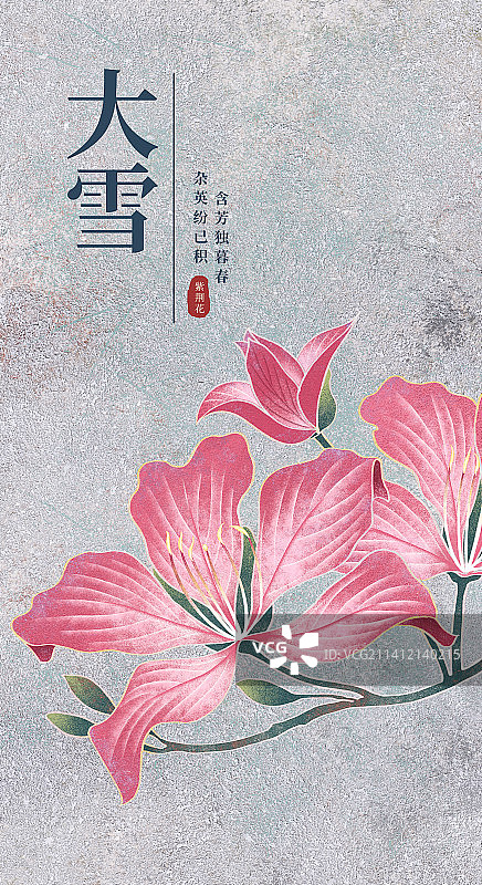 二十四节气大雪海报肌理岩彩风格植物系列紫荆花图片素材