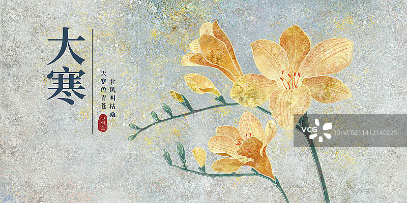 二十四节气大寒海报肌理岩彩风格植物系列香雪兰图片素材