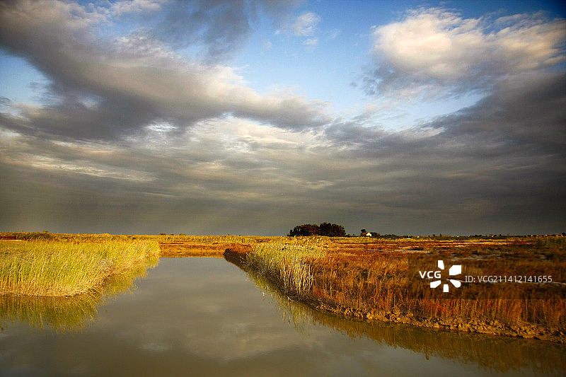 山东滨州黄河岛湿地风光图片素材