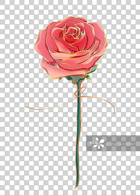 一支玫瑰花图片素材