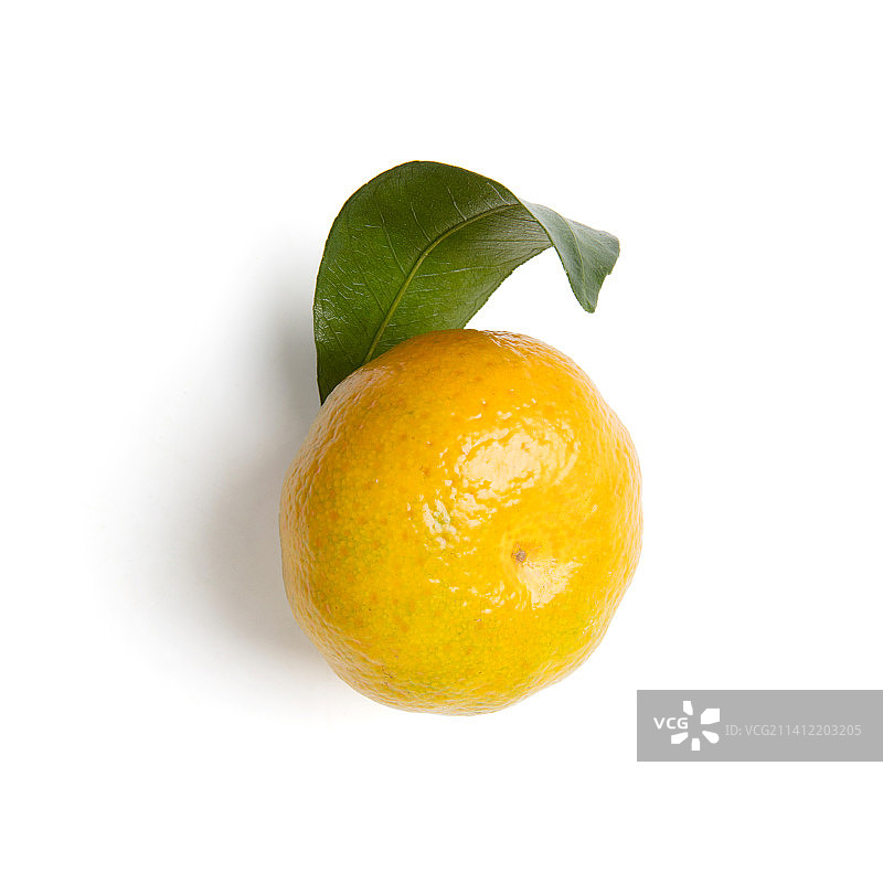 新鲜的石门蜜桔孤立在白色背景上图片素材