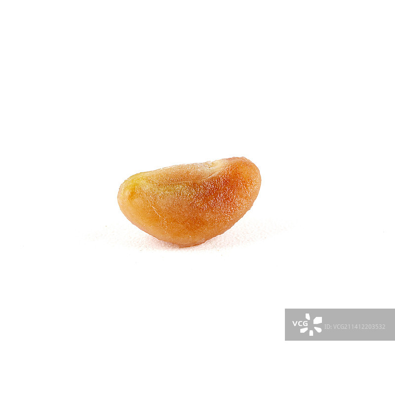 新鲜的山楂籽孤立在白色背景上图片素材