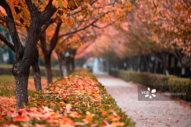 陕西西安交通大学校园图片素材