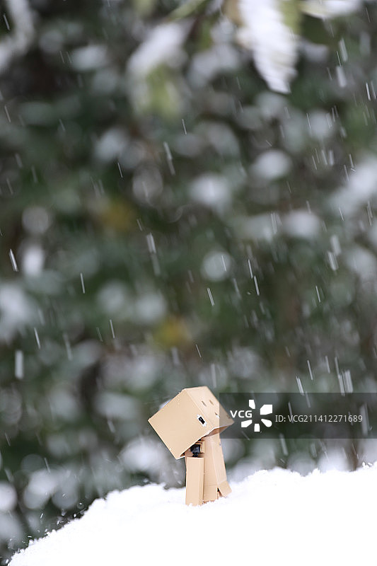 大雪中孤独的纸箱人阿楞图片素材