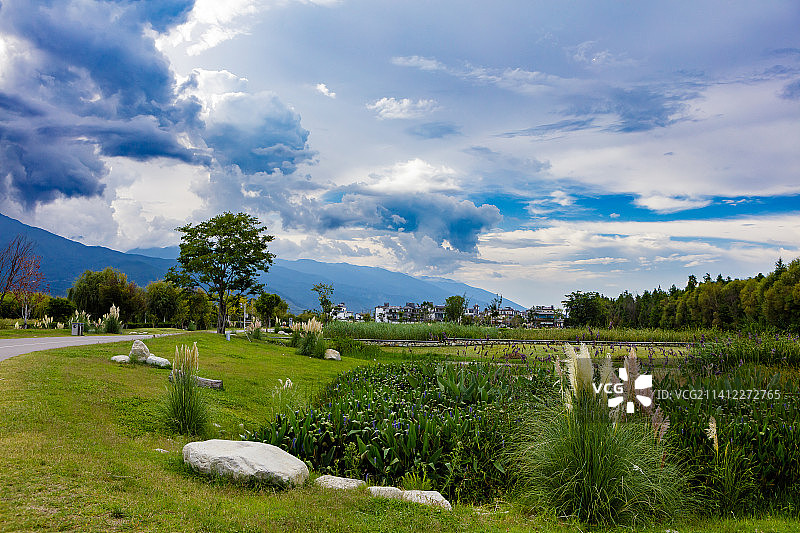 大理洱海生态廊道的美丽生态图片素材