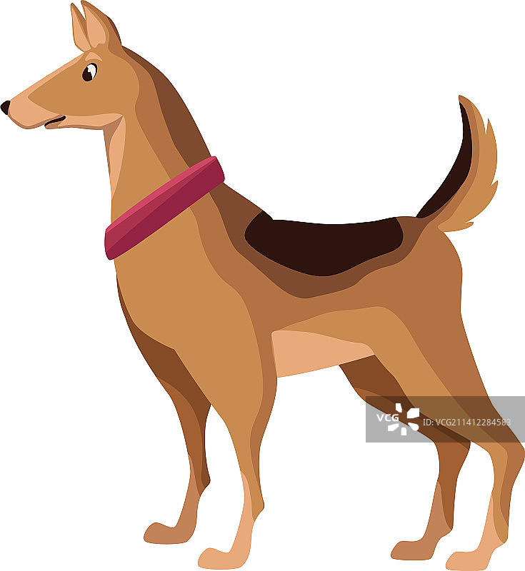 犬类动物品种图片素材