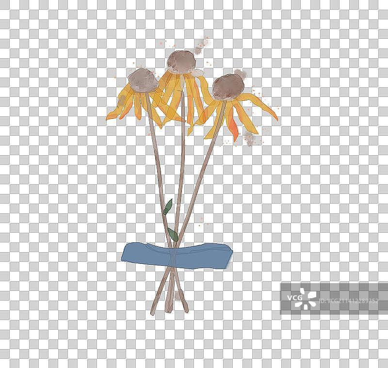 手绘凋零花朵植物水彩插画元素图片素材
