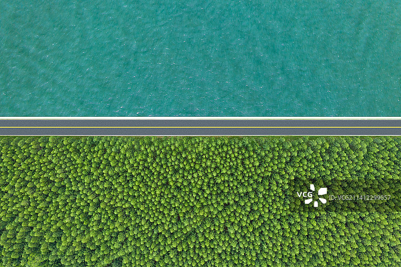 海边的森林图片素材