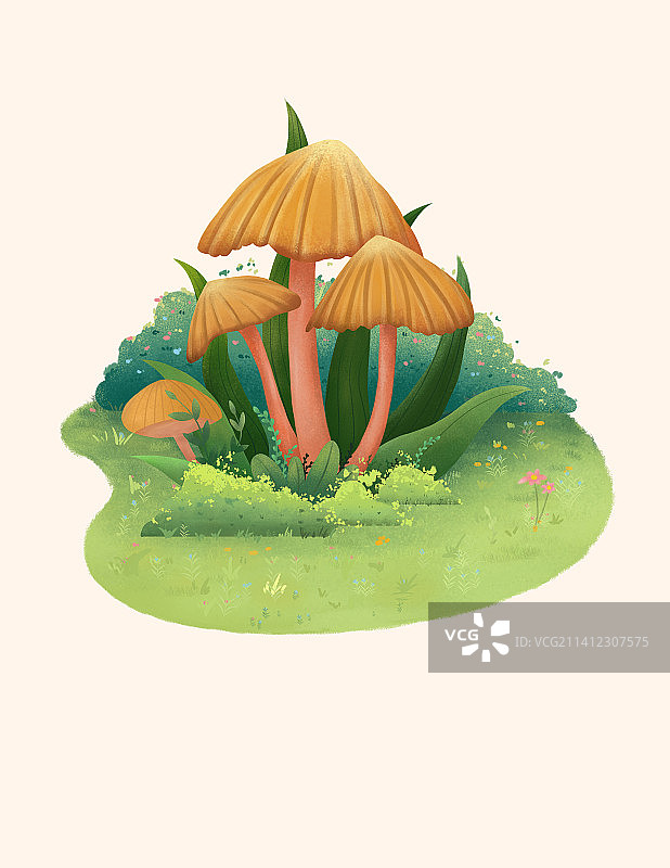 植物小场景图片素材