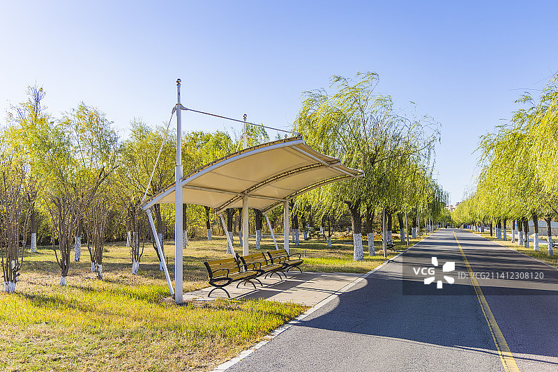 天津武清南湖公园秋季景观图片素材