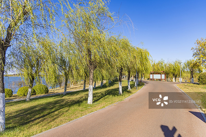 天津武清南湖公园秋季景观图片素材