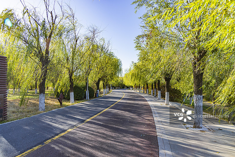 天津武清南湖公园秋季景观图片素材