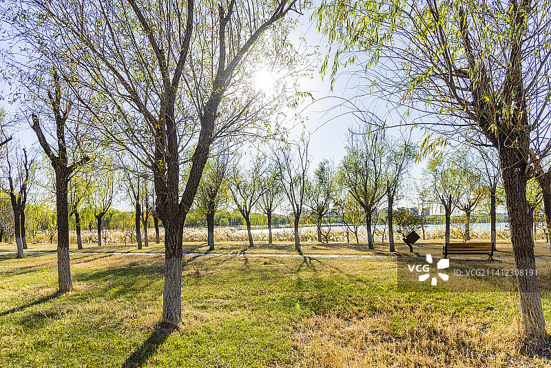天津武清南湖公园秋季景观图片素材