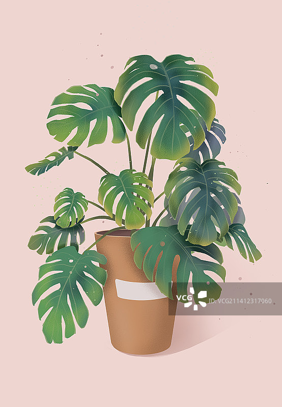 龟背竹盆栽肌理清新插画图片素材