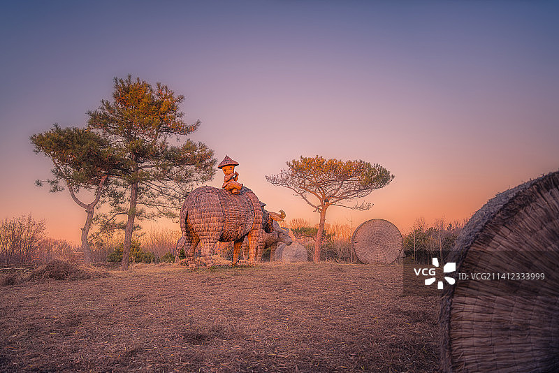 骑在牛背上的牧童图片素材