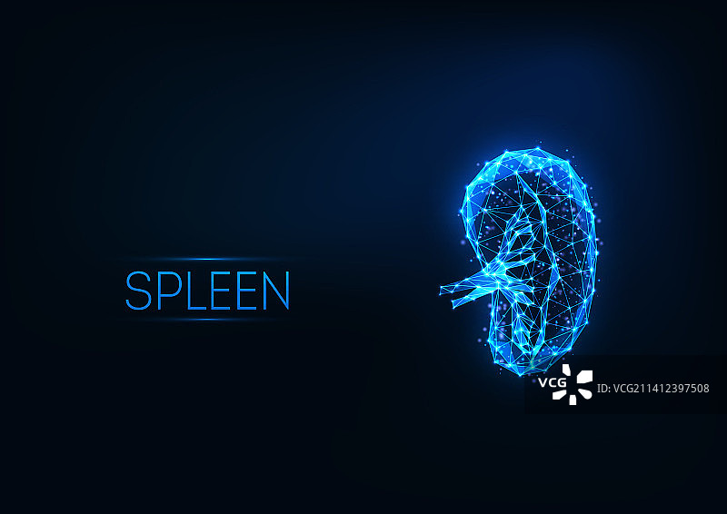 未来主义发光低多边形人体脾脏图片素材