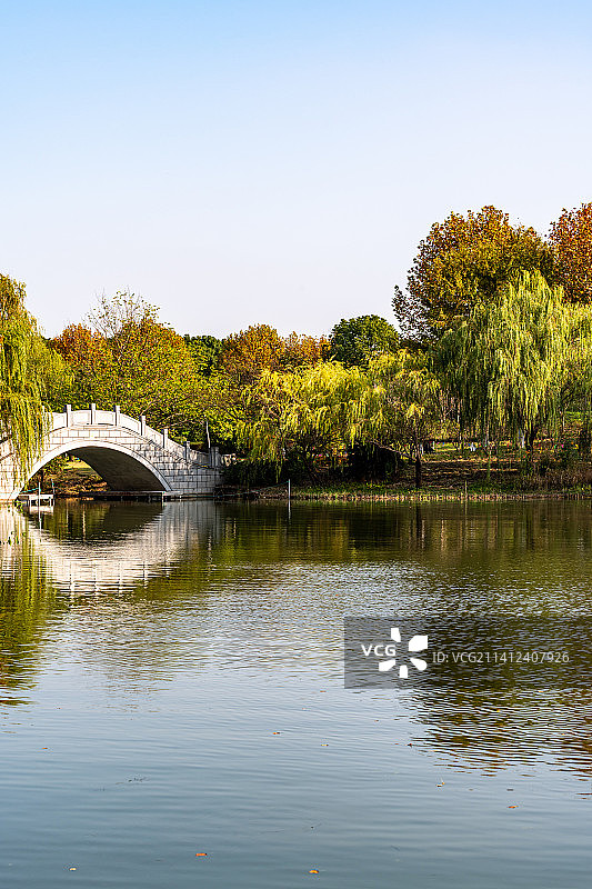 上海闵行文化公园秋色景观图片素材