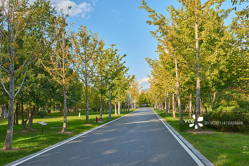 公园里无人的小路图片素材