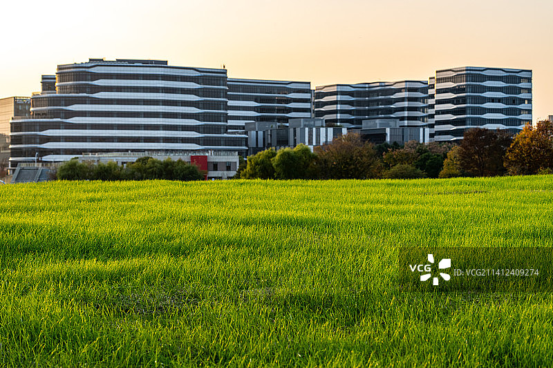 秋天黄昏中的上海闵行文化公园大草坪落叶建筑景观图片素材