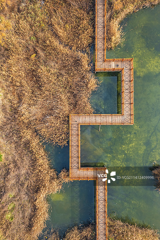 山西运城市盐湖园秋景图片素材