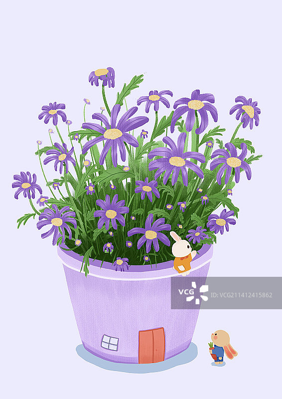 雏菊盆栽房与两只小兔图片素材