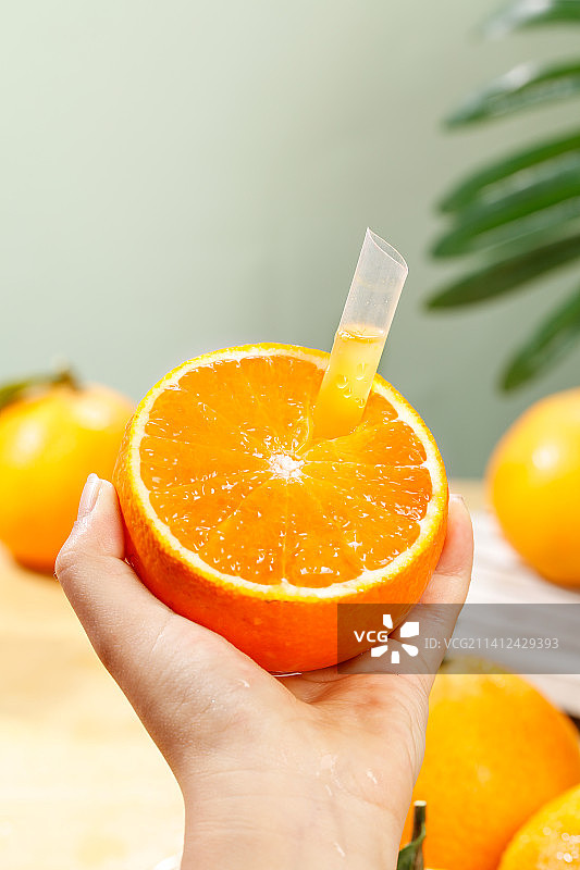 浅底上的爱媛果冻橙图片素材
