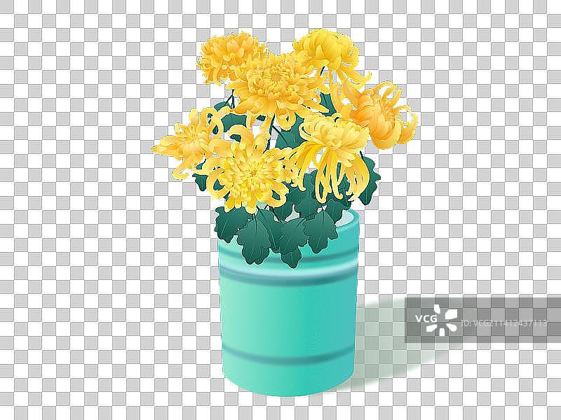 菊花盆栽图片素材