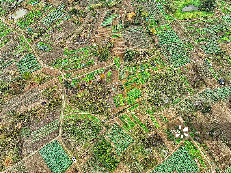 开荒南野际守拙归园田图片素材